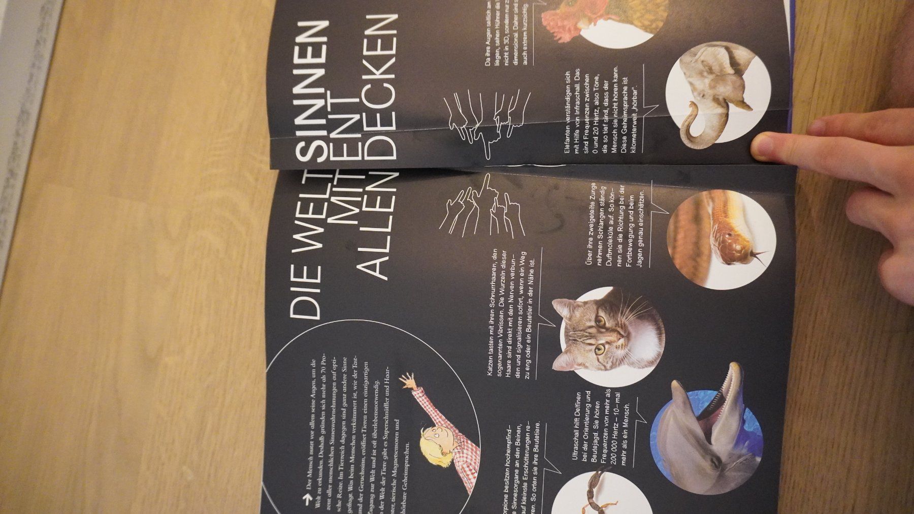 Libri: Das grosse Kinderlexikon - IN EINEM BAND Edition – Usato da Lupsingen venduto da Supra88 5