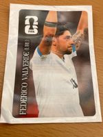 Cola Panini Federico Valverde (Nr. CC5)