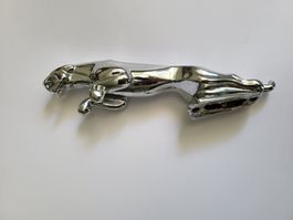 Seltener großer Jaguar Emblem Maskottchen