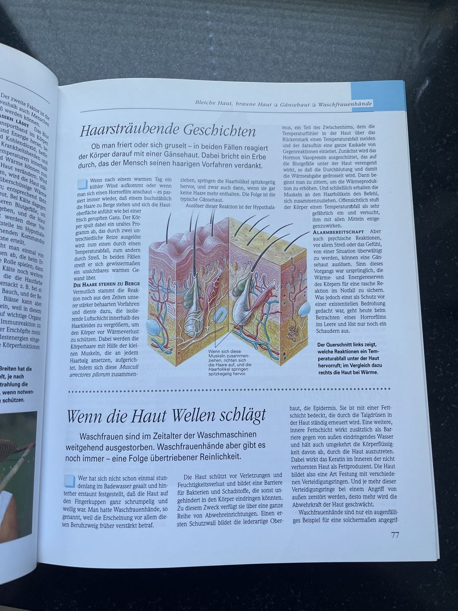 Libri: Buch, Wunderwerk Mensch – Usato da Samstagern venduto da Katinka8 5