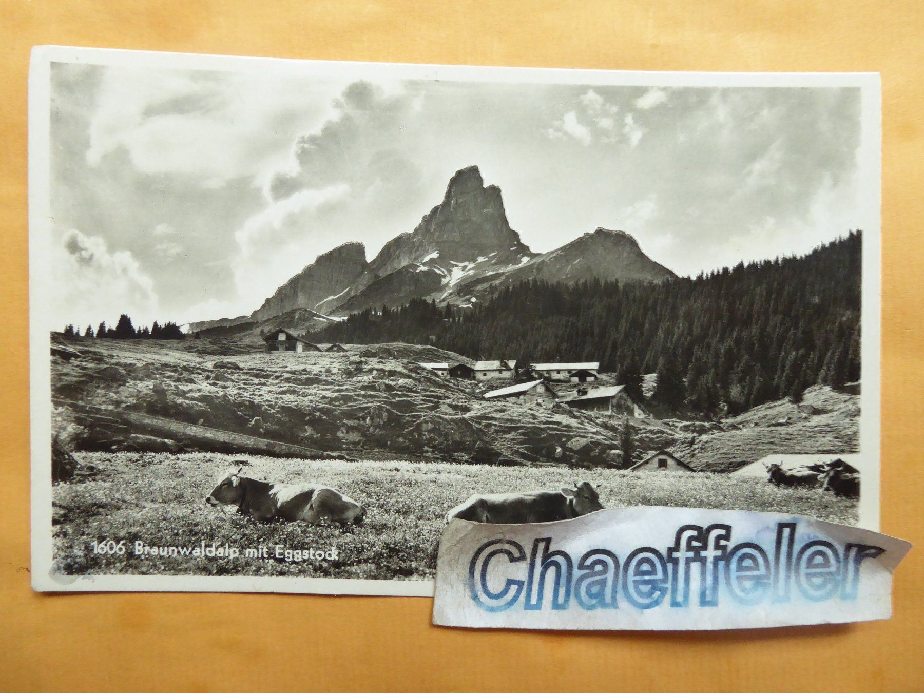 Cartoline postali: 1606 Braunwaldalp mit Eggstock  1952 – Usato da Zürich venduto da Chaeffeler