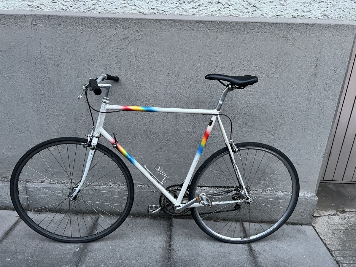 Biciclette: Stahlrenner Allegro – Difettoso da Zürich venduto da bru12