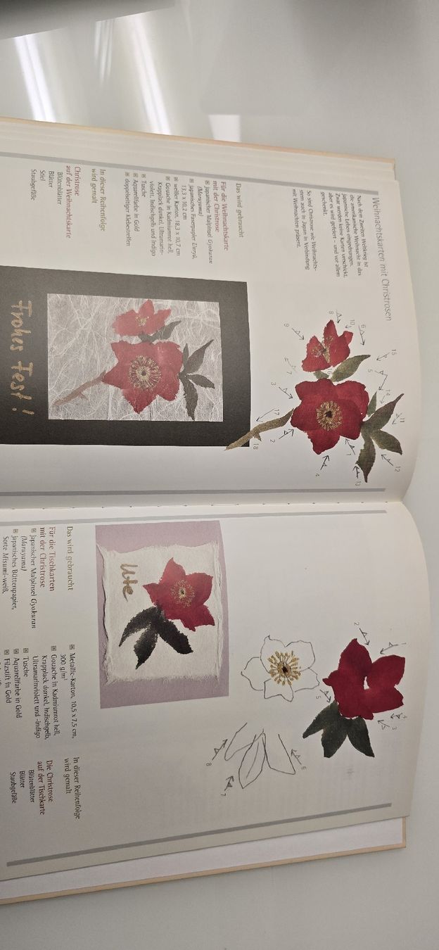 Libri: japanische Blumen- und Tuschmalerei – Usato da Ostermundigen venduto da Velora 8