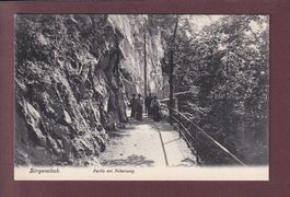 BÜRGENSTOCK - Felsenweg - Leute