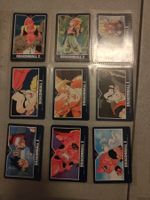 Dragon Ball Z Karten made in Japan aus dem 1995 auf japanisc