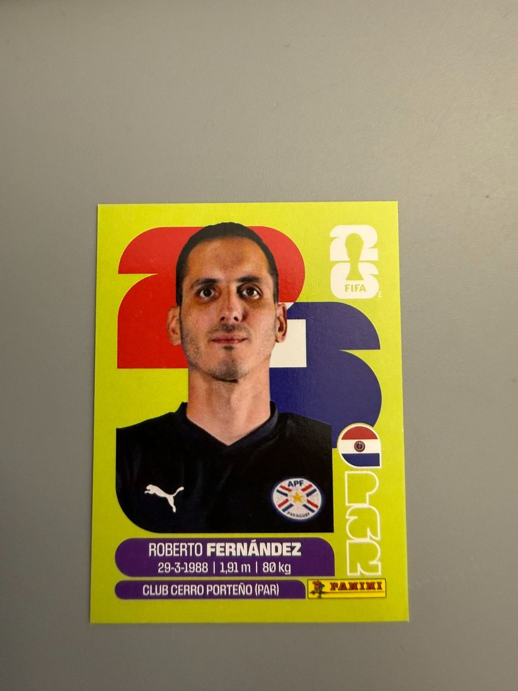 Panini Cartes à collectionner: Panini Roberto Fernandez PAR2 – D'occasion à Liebefeld par Ronaldo-1996