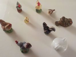 Sammlung 9 Hühner und Vögel für Setzkasten (Setzkasten 4)(3)