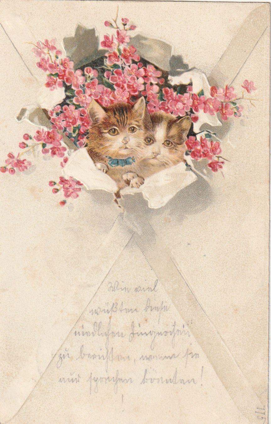 Cartoline postali: 2 Katzen mit Blumen Prägekarte – Usato da Rorschacherberg venduto da fratovi2