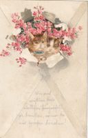 2 Katzen mit Blumen Prägekarte