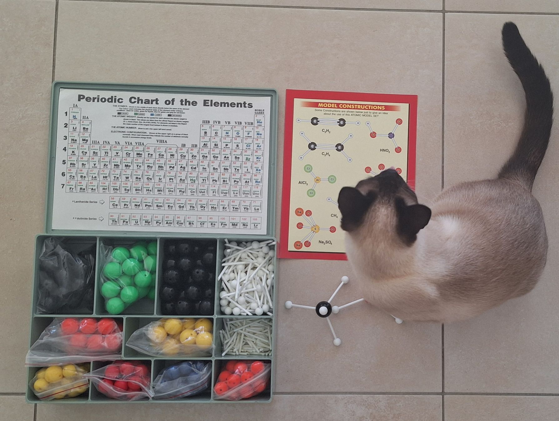 Kit di costruzioni: Chemistry Molecular Model Set - Perfect for Back to School! – Usato da Zürich venduto da ema_zb95 2