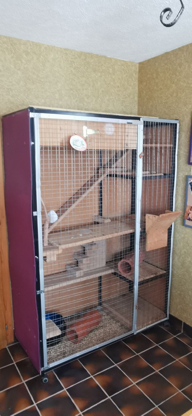 Gabbie, trasporto & Sicurezza: Grande cage pour chinchillas – Usato da Levron venduto da noceur1 1