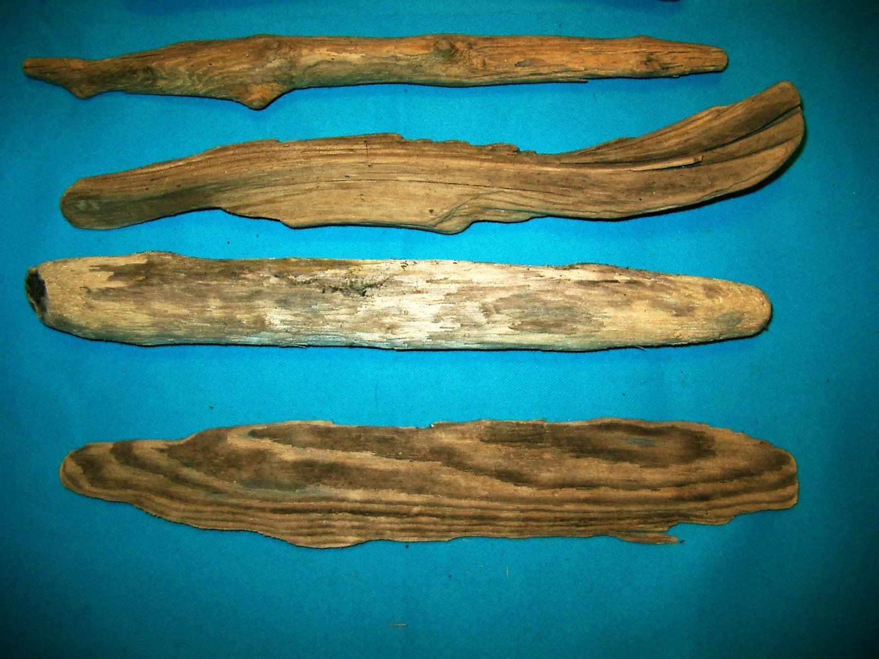 Articoli in legno: Schwemmholz, 7 Stück , ca. 22 bis 37cm – Usato da Laupen ZH venduto da tonisculati 1