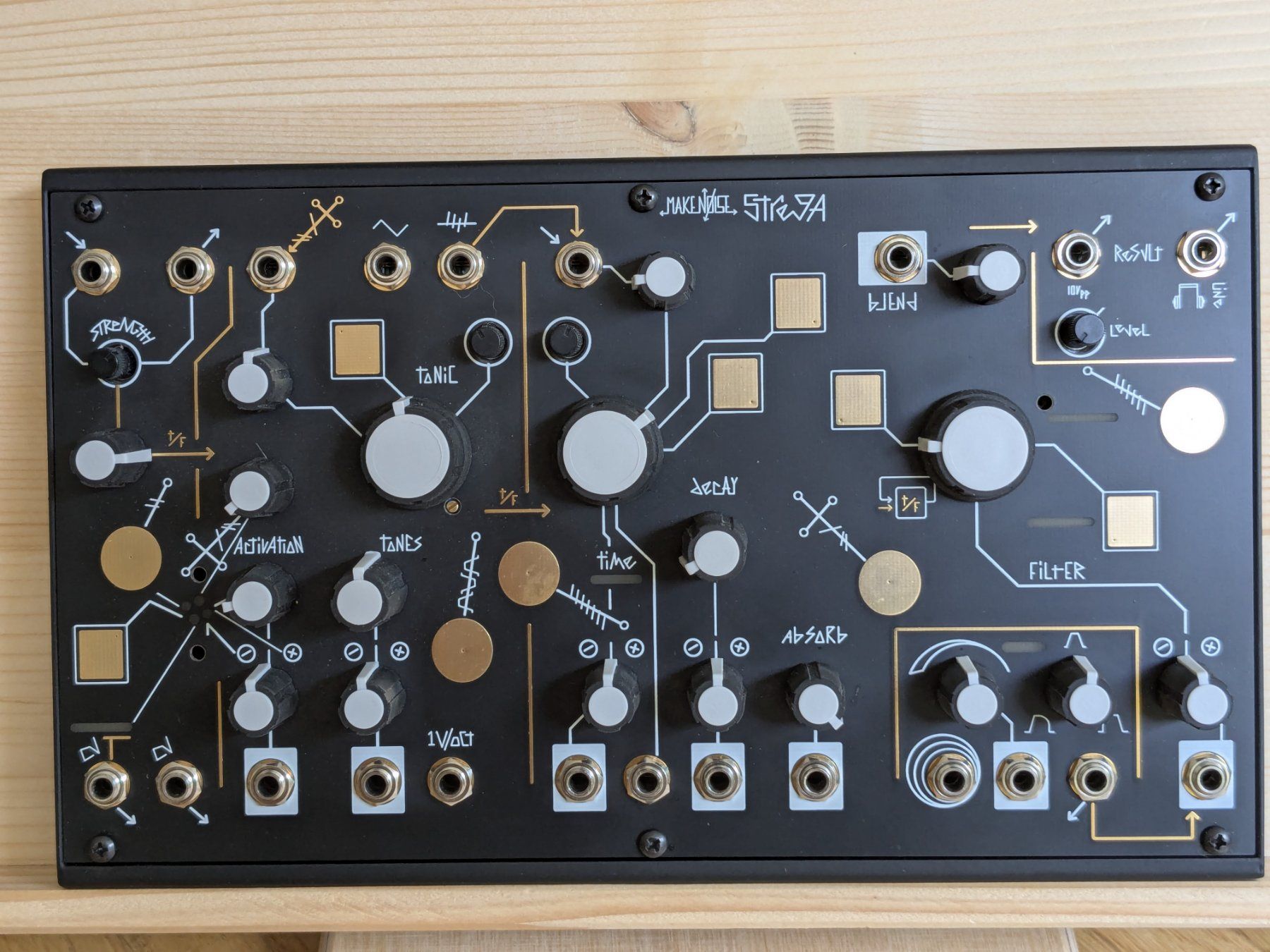 Musikinstrumente: Make Noise Strega – Gebraucht aus Luzern von cha_wld8 1