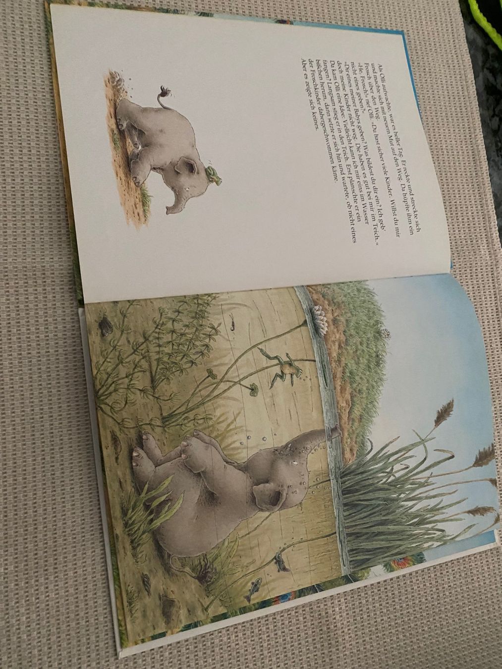 Libri: Olli der kleine Elefant – Usato da Allenwinden venduto da Obalu 1