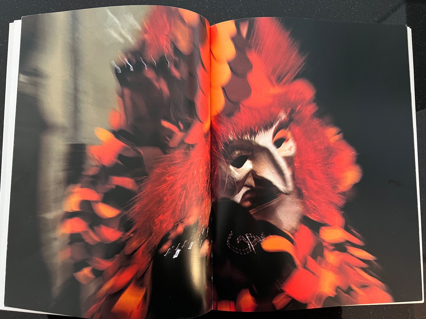 Libri: Fotoband "CARNAVAL DE BALE" von Paul Maurer – Usato da Basel venduto da shirley_gold 4