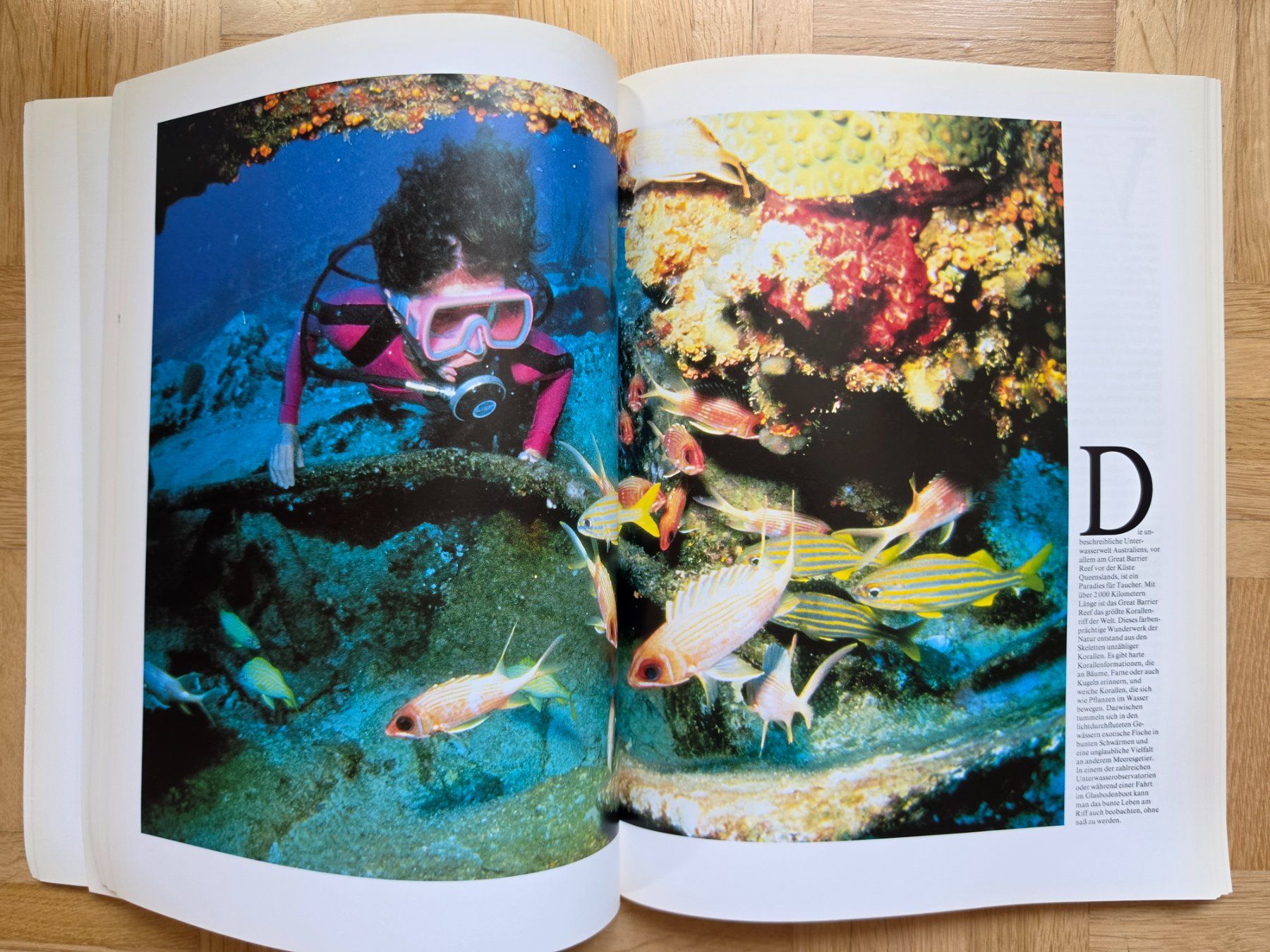 Libri: Australien - Eine Bildreise – Usato da Stäfa venduto da flamingo_17 7