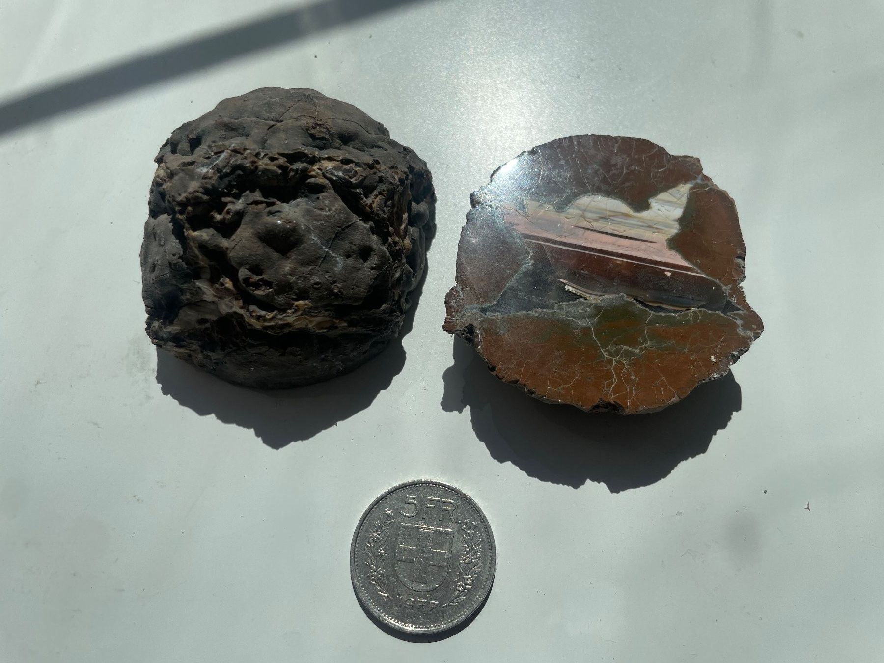 Minerali & Pietre curative: Donnerei - Thunderegg – Nuovo (secondo la descrizione) da Winkel venduto da cma_df88 2