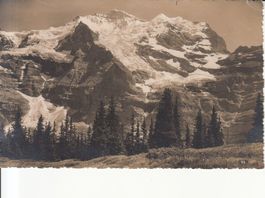 Wengernalp 1926