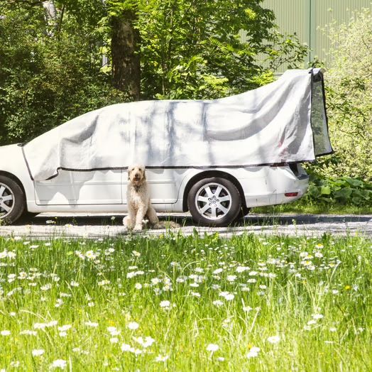 Sonstiges Zubehör: Alunetz, Auto-Schattendecke – Gebraucht aus Winterthur von Toetschli