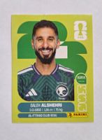Panini Saleh Alshehri KSA 19