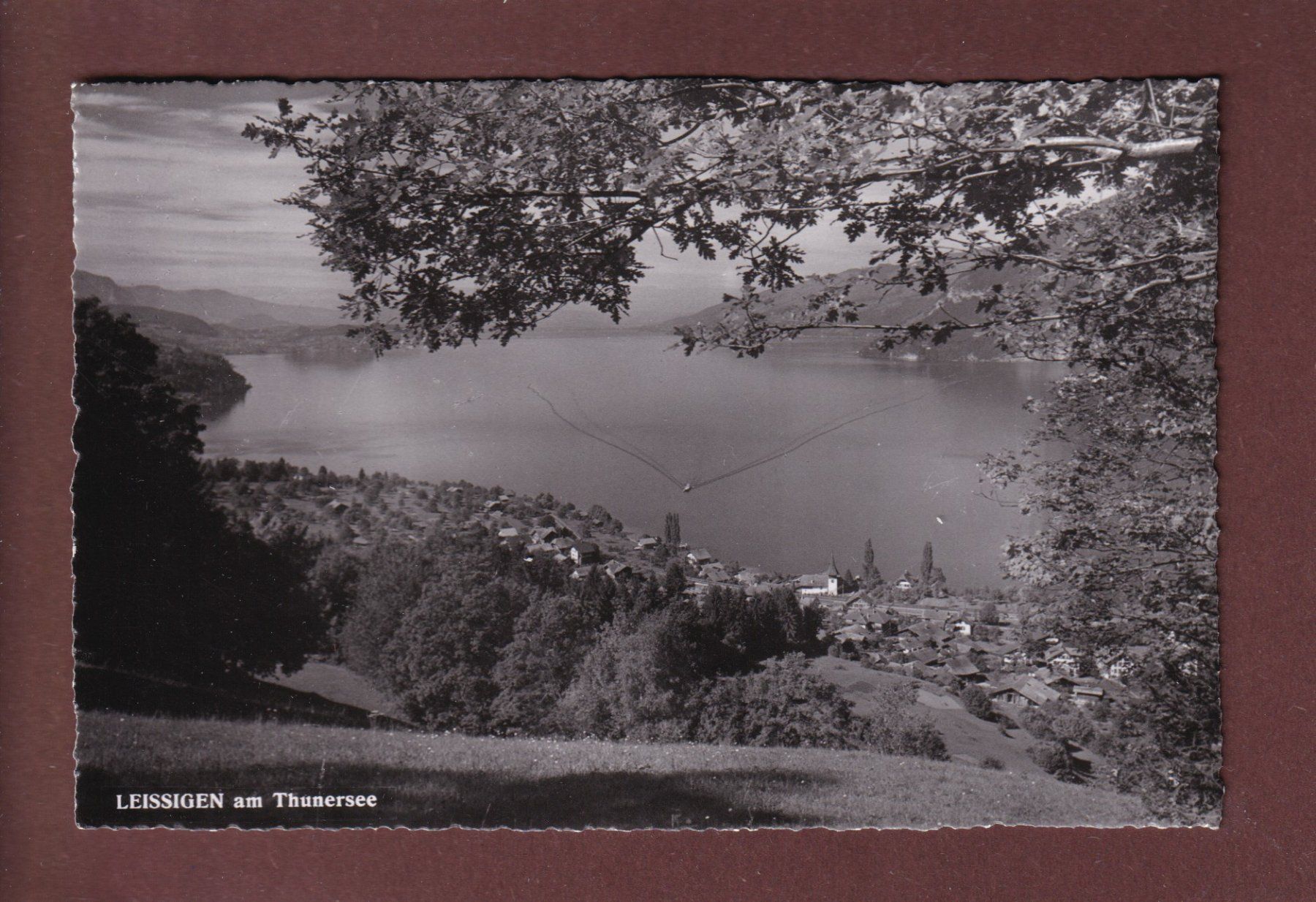Cartoline postali: LEISSIGEN am Thunersee - 1956 – Usato da Pully venduto da nicecards