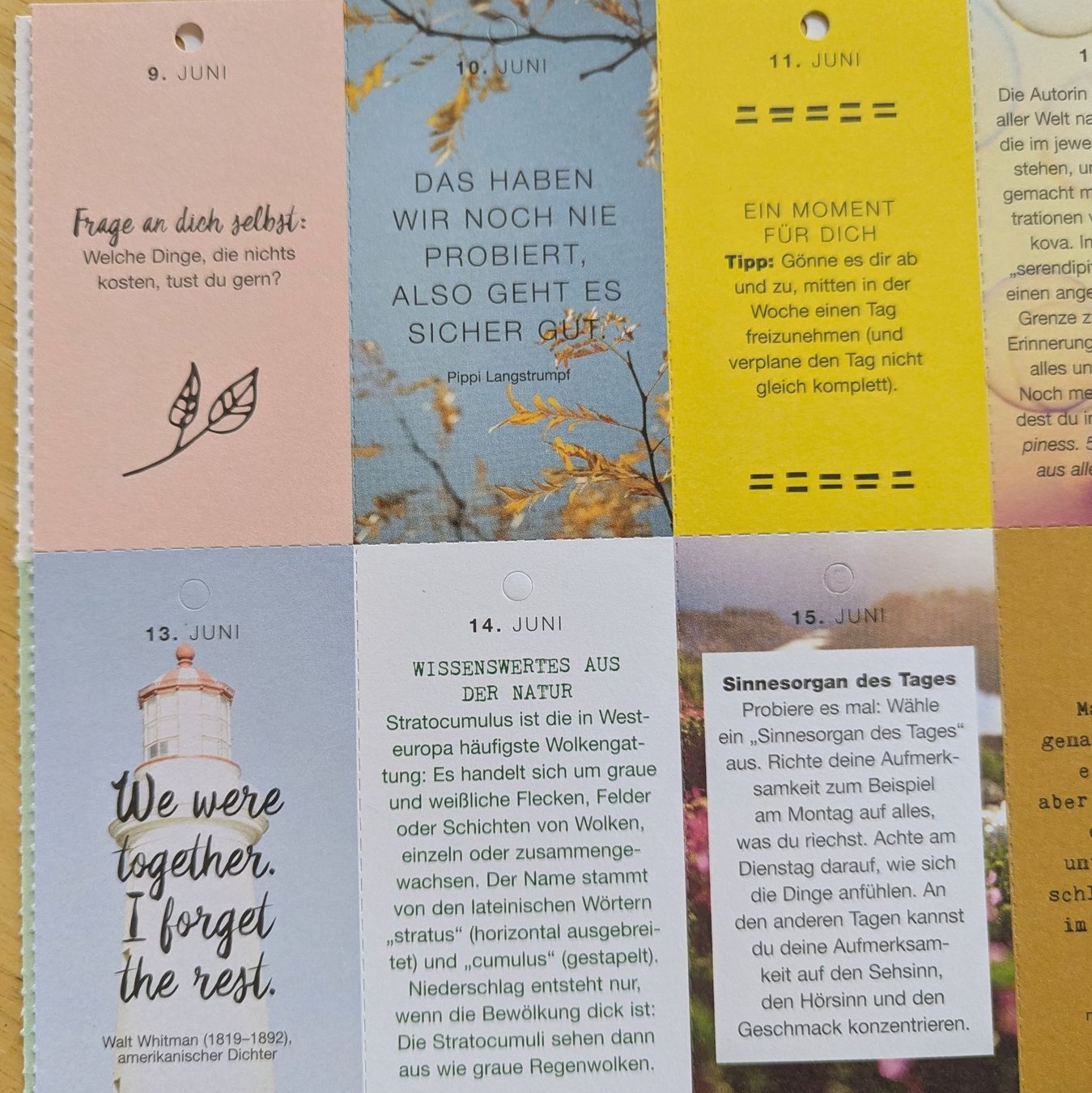 Kalender: FLOW 365Tage Kalender – Neu (gemäss Beschreibung) aus Bertschikon Gossau von Tokibunny 3