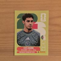 Panini WM 2026 ALG 14