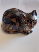 Katze  ruhend