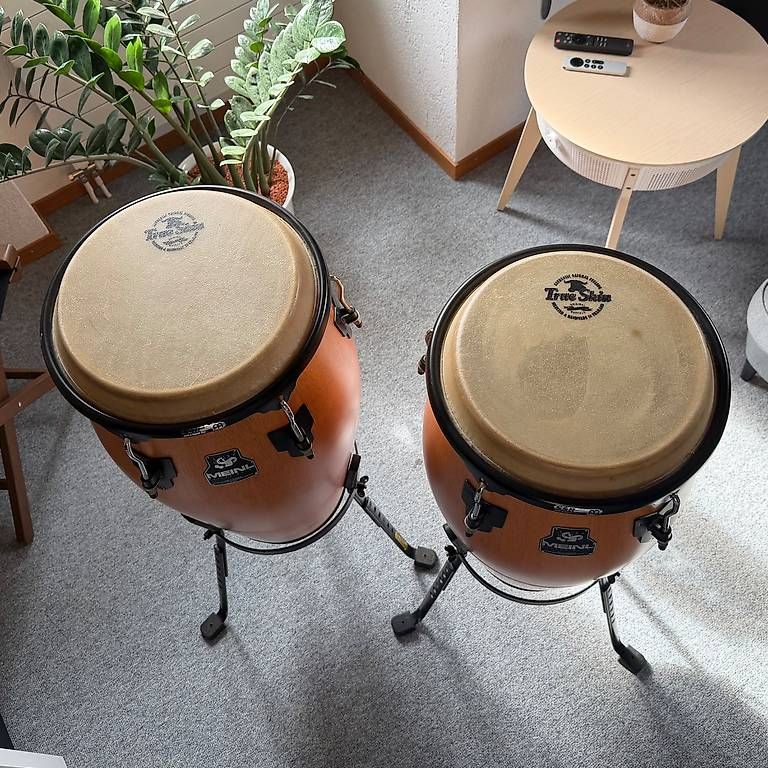 Meinl Musikinstrumente: Meinl Congas – Gebraucht aus Steffisburg von yawepic 2