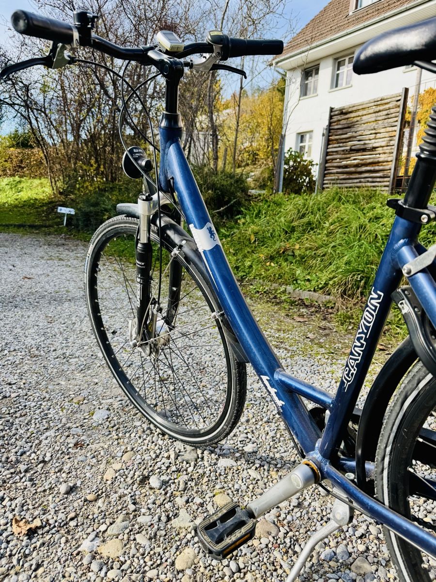 Canyon Biciclette: Damenvelo ,,Retro,, Canyon – Usato da Eschlikon TG venduto da MaEl_G 3