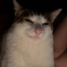 Profile image of JYUNG