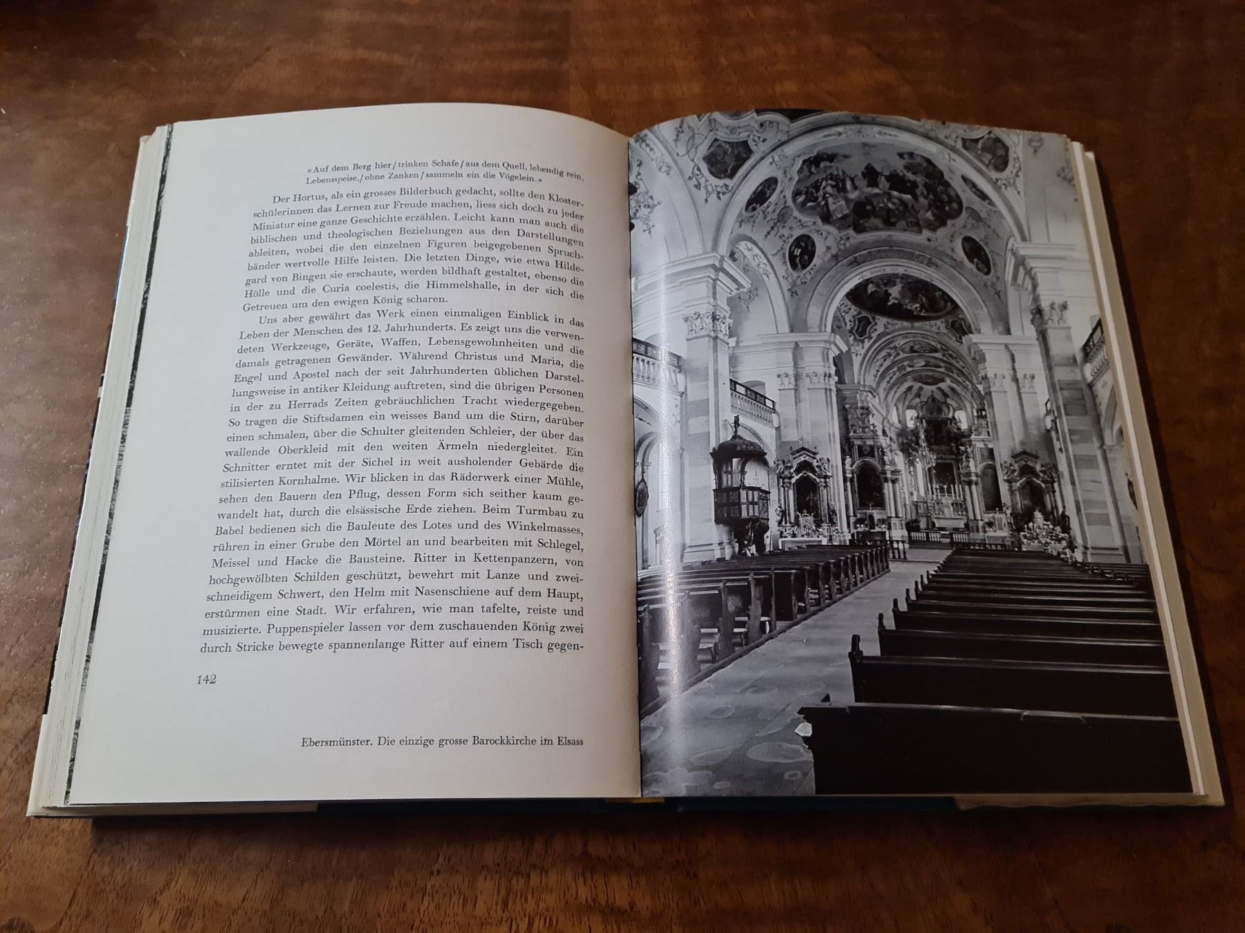 Libri: Malerisches Elsass – Usato da Erstfeld venduto da Mario_boe0 1