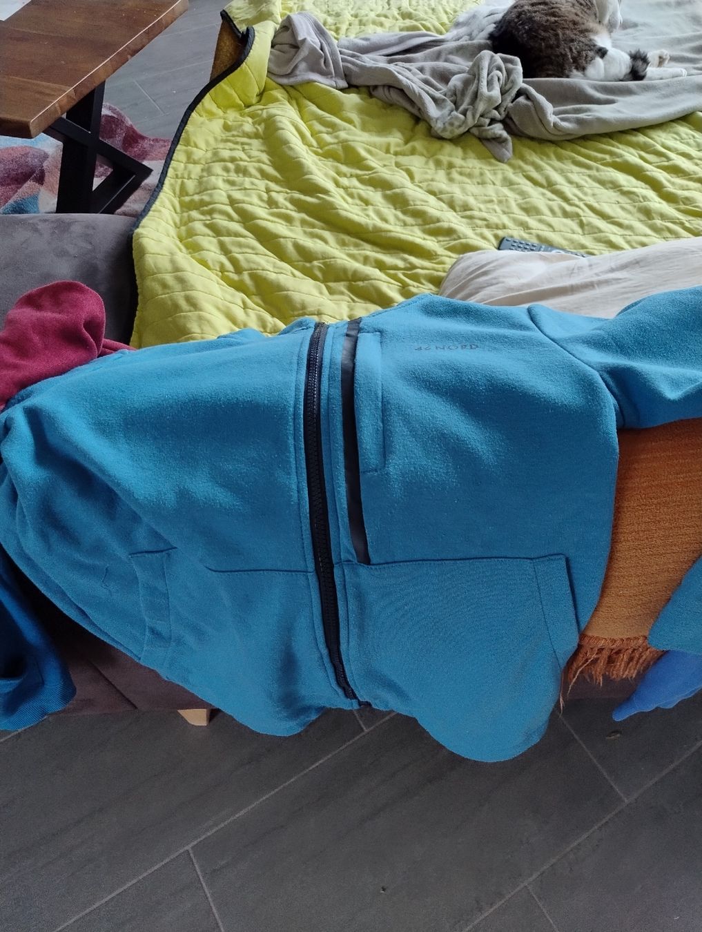 Lotti & Set di vestiti: Sweats à capuche et pulls divers pour garçons 10-12 ans – Usato da Bossonnens venduto da Chaoui1615 6