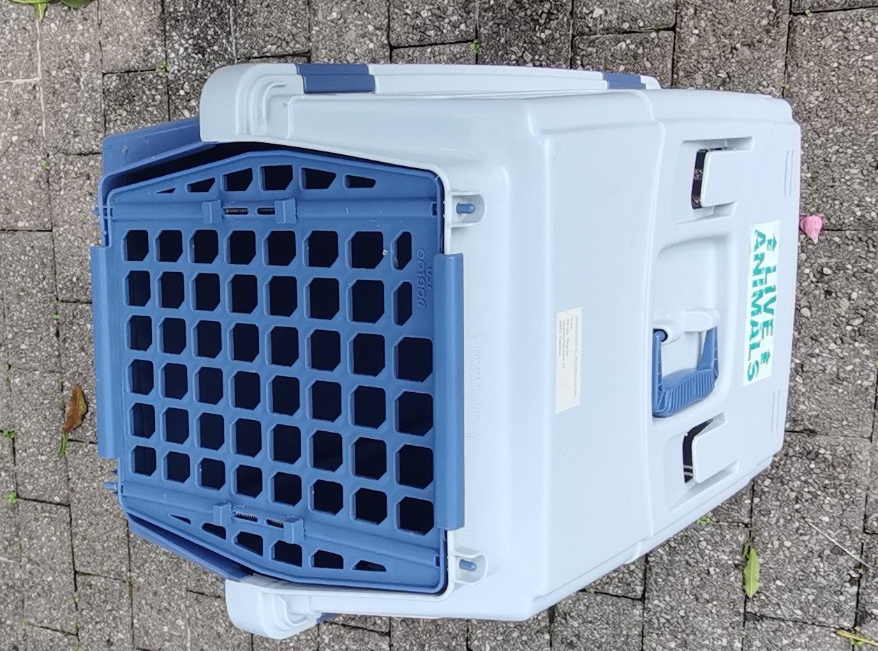 Gabbie, trasporto & Sicurezza: Transpotbox für mittelgrosse Kleintiere – Usato da Dietikon venduto da ZMF