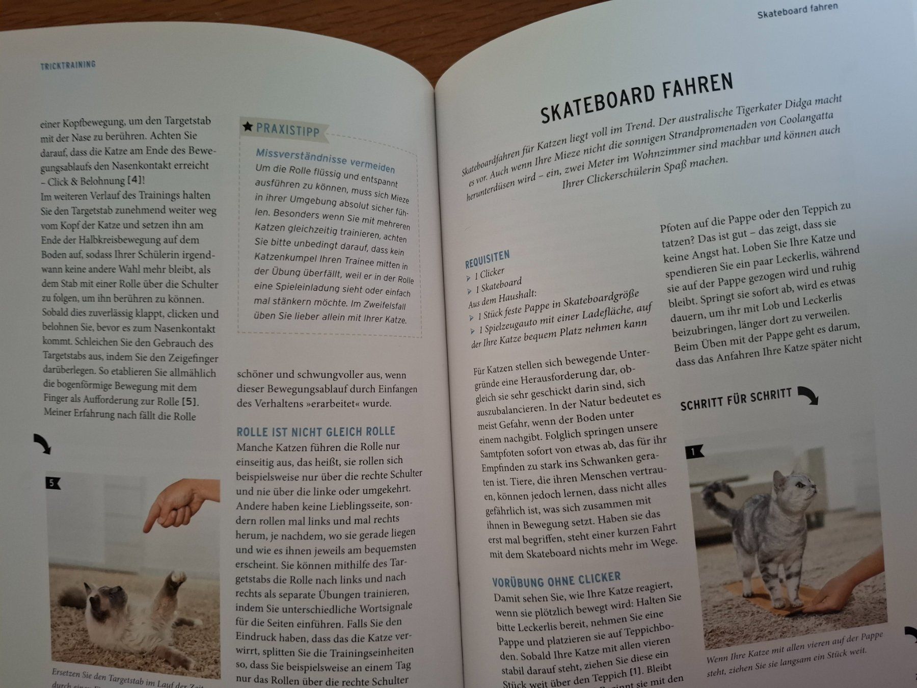 Libri: Katzen Clicker Training - Basics & Tricks - Praxisbuch – Usato da Eiken venduto da Lashar 4