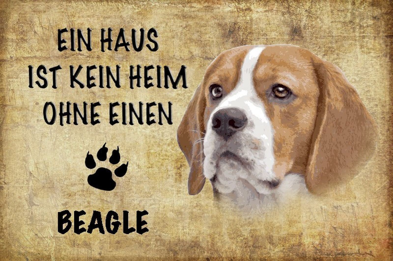 Insegne: Blechschild-BEAGLE-KEIN HEIM OHNE EINEN – Nuovo e nell'imballaggio originale da Rupperswil venduto da big-one-sale