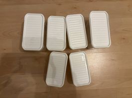 Rotho Aufbewahrung Box