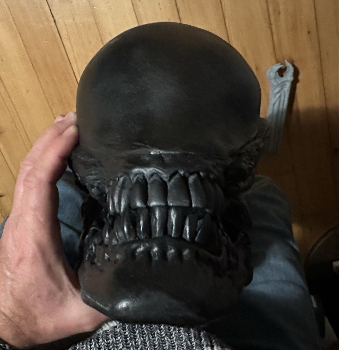 Sculture & Statue: 1:1 Alien 3 Kopf lifesize not Coolprops Sideshow Giger – Usato da Schlieren venduto da Moviepropde 7