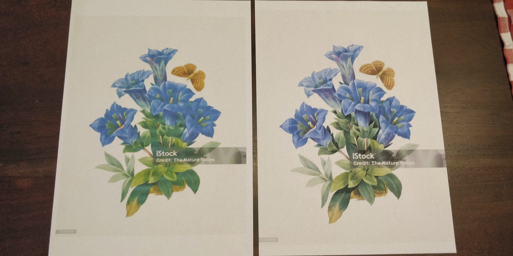 Epson Stampanti: Drucker Epson WorkForce WF-2860DWF Gebrauchter – Difettoso da Sins venduto da lpego 5