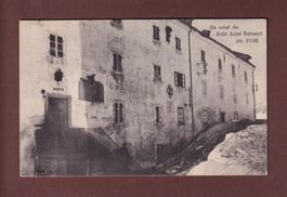 Un salut du PETIT-SSAINT-BERNARD