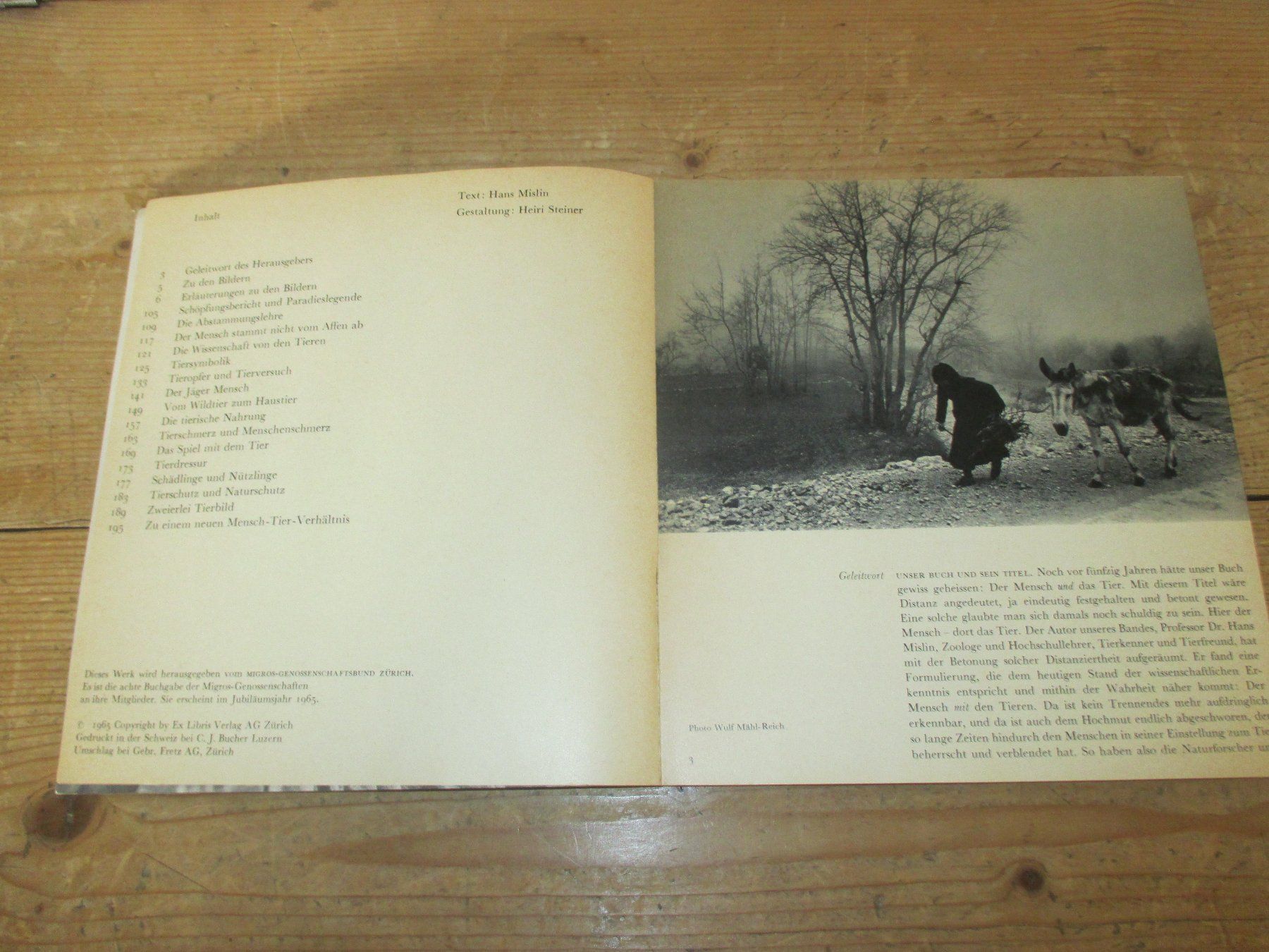 Libri: Der Mensch mit den Tieren, 1965 – Usato da Flims - Dorf venduto da Stagediver 2