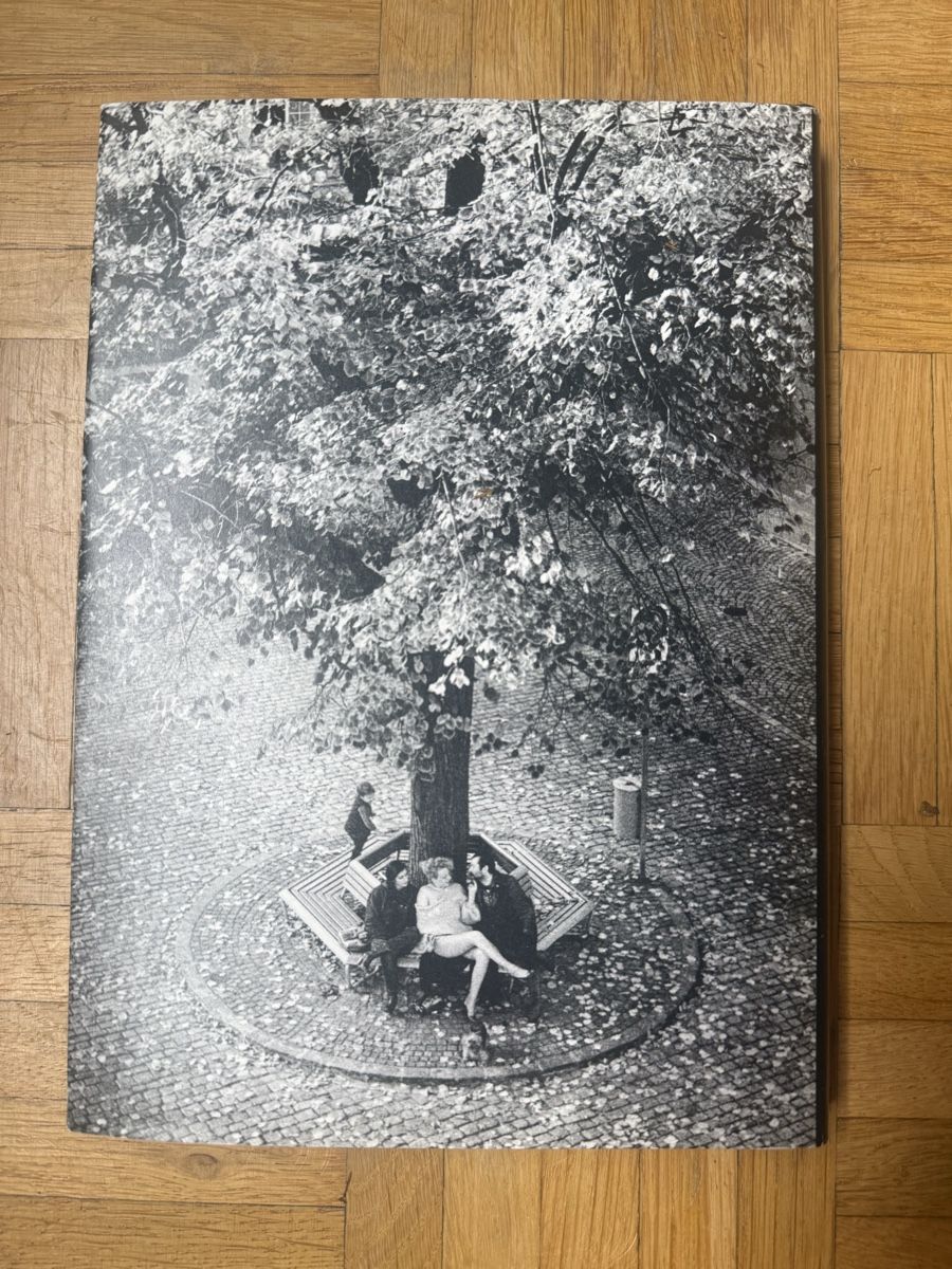 Libri: Irene: Roswitha Hecke  – Usato da Zürich venduto da Mai.rast 3