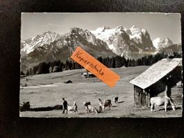 AK Bidmi Hasliberg Bern / Berge Alpen Tiere