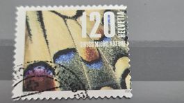 2024 Schmetterling Abart Stark verschobenes Markenbild