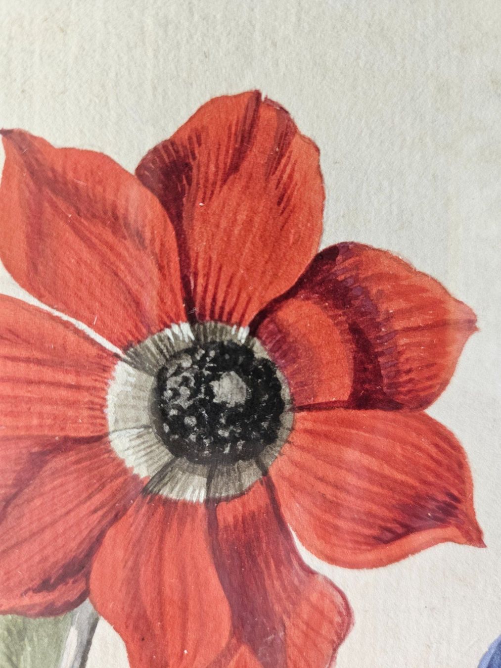 Dipinti: Europäische Schule 18./19.Jh. "Anemonen" – Usato da Wisen SO venduto da gralstrand 4