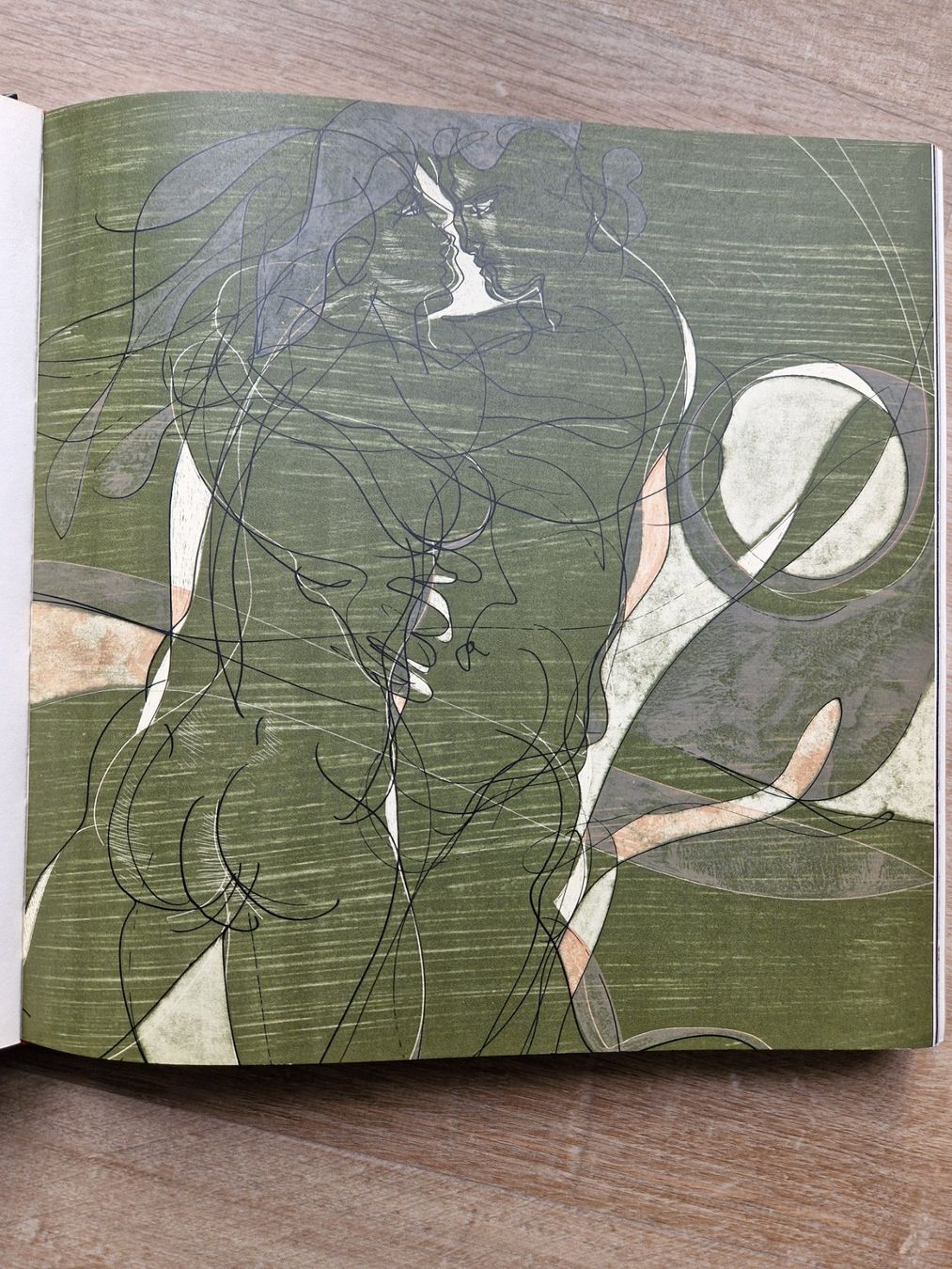 Libri: Hans Erni Buch Carl J. Burckhardt – Usato da Hochdorf venduto da Tlutrh1 2