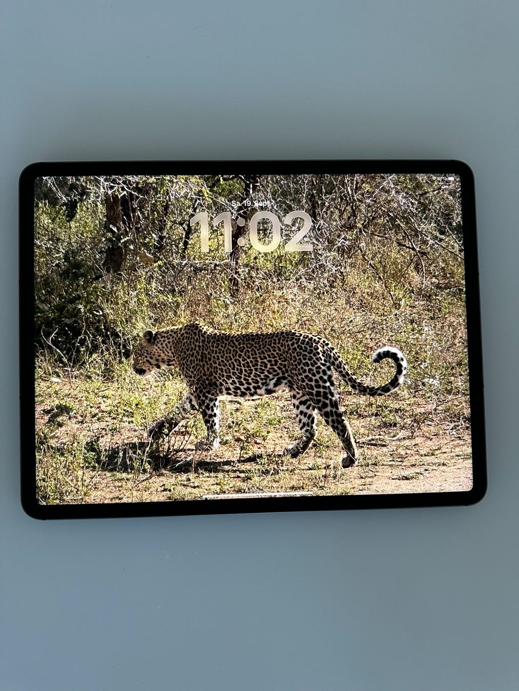 Apple Tablet PC: iPad PRO 12.9 Zoll, 5. Generation – Usato da Eschenbach LU venduto da Mfkarl 2