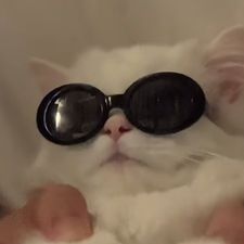 Profile image of P_Schwander_