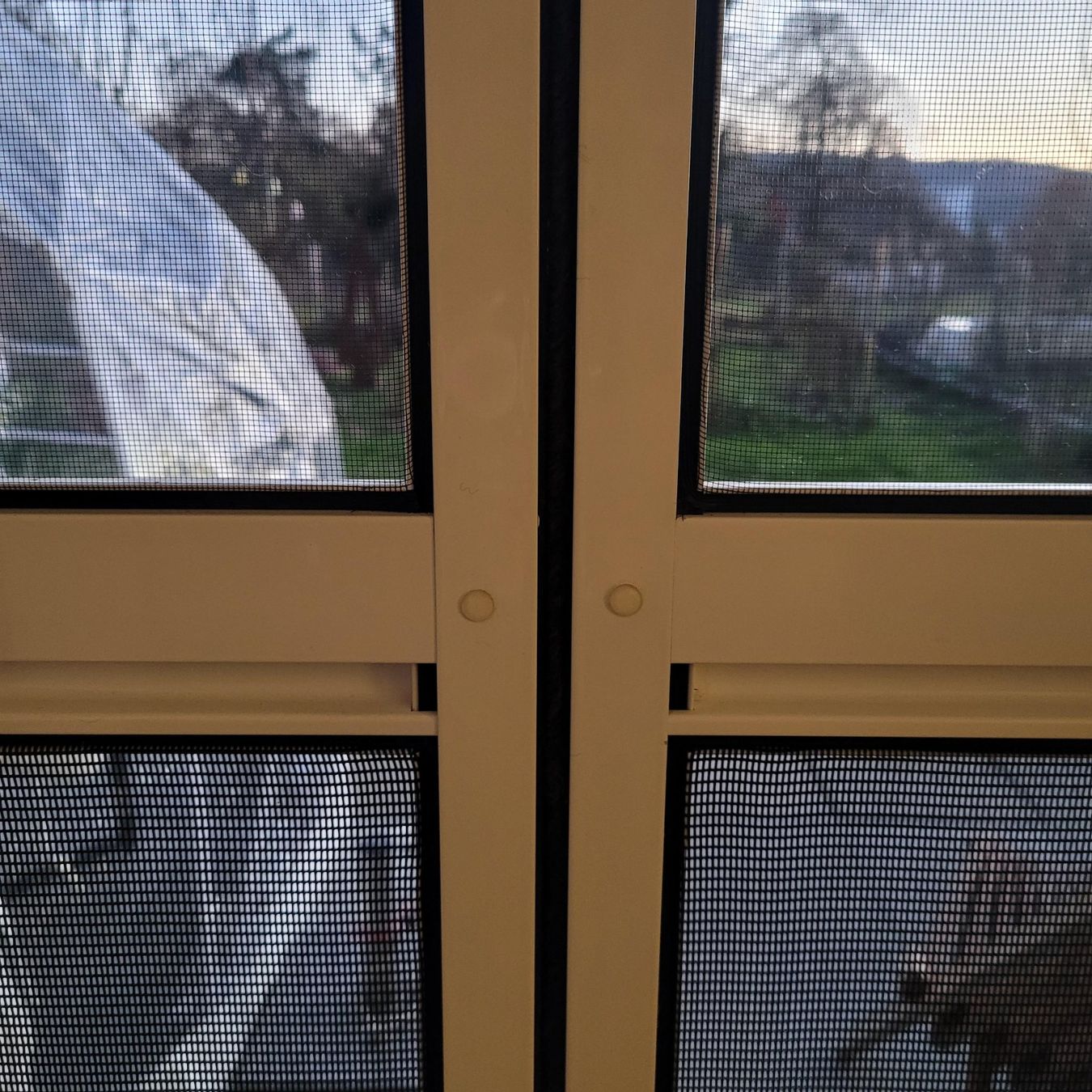Porte: Insekten-Schutz - Schwingtüre – Usato da Dottikon venduto da Network01 1