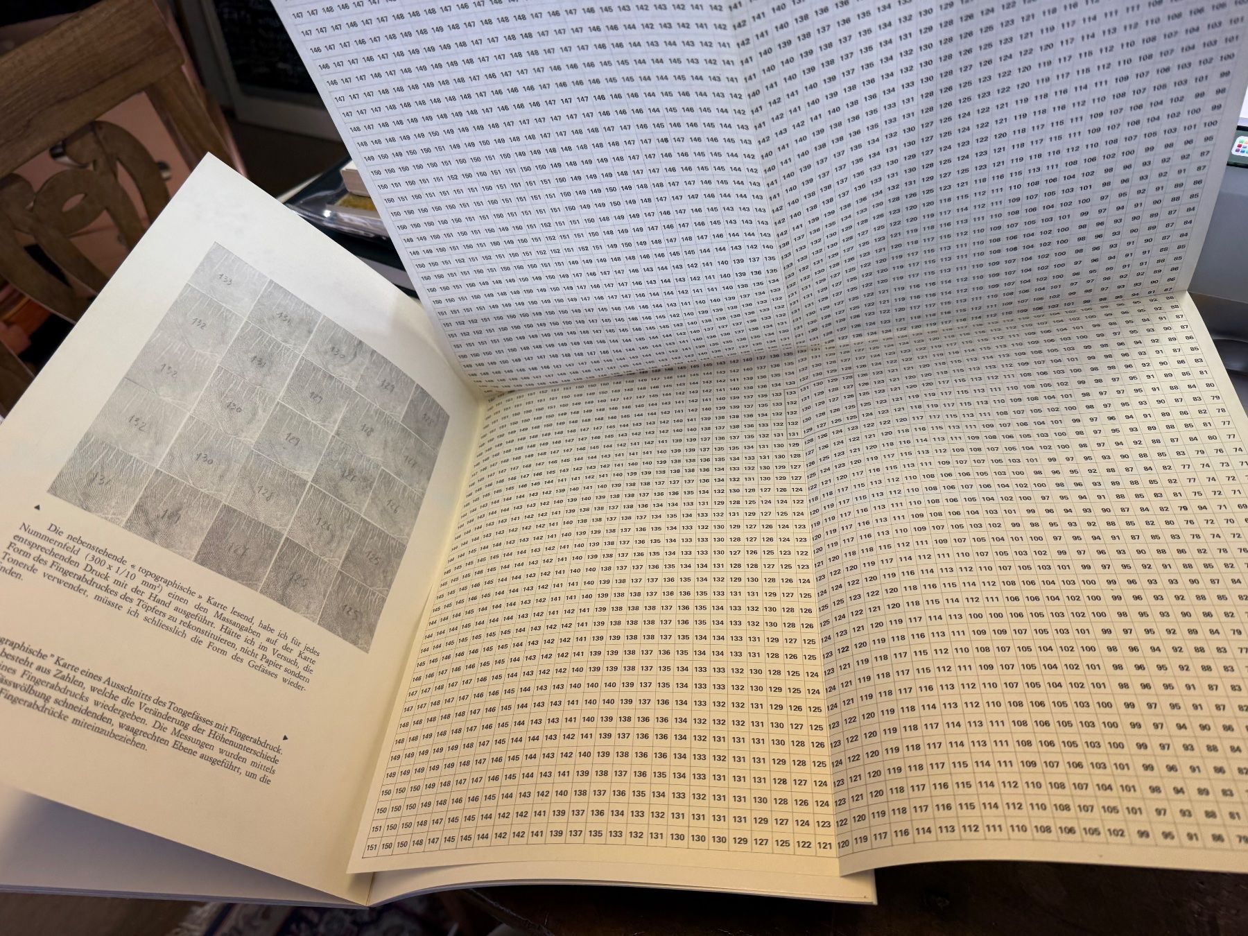 Libri: Giuseppe PENONE – Usato da Bern venduto da Jwpm66 2